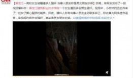 黑龙江爆料视频,揭秘当地惊人事件！