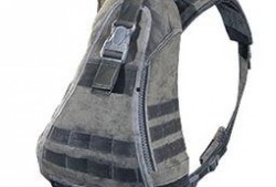 和平精英最新背包爆料,全新道具等你来探索