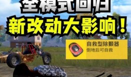 和平精英体检服最新爆料,揭秘游戏内神秘功能与改动