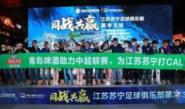 江苏苏宁最新爆料,揭秘球队备战新赛季的神秘计划